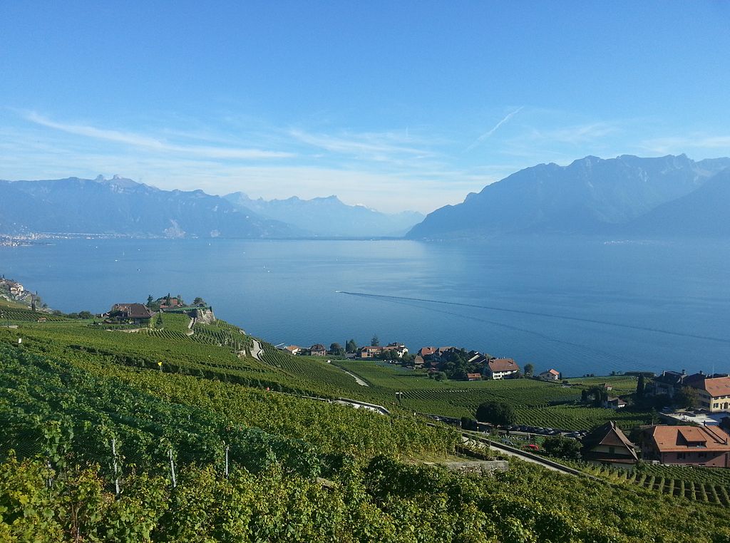 Vine_Terraces_of_Lavaux_and_the_Leman_lake_in_Switzerland.jpg